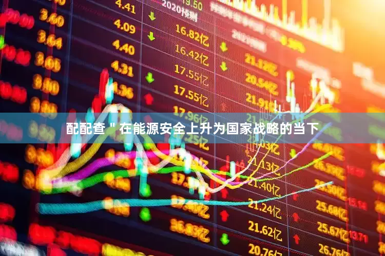 配配查＂在能源安全上升为国家战略的当下