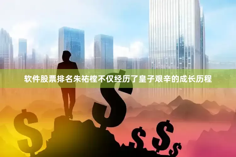 软件股票排名朱祐樘不仅经历了皇子艰辛的成长历程