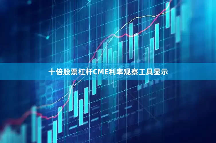 十倍股票杠杆CME利率观察工具显示