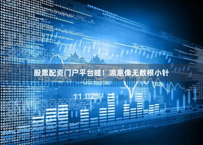 股票配资门户平台哇！凉意像无数根小针
