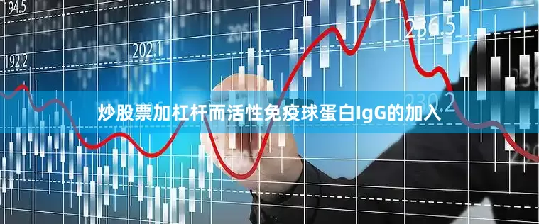 炒股票加杠杆而活性免疫球蛋白IgG的加入