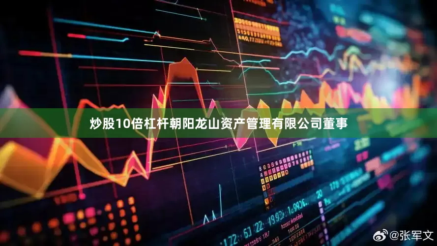 炒股10倍杠杆朝阳龙山资产管理有限公司董事