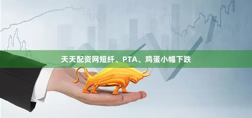天天配资网短纤、PTA、鸡蛋小幅下跌