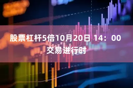 股票杠杆5倍10月20日 14：00 交易进行时
