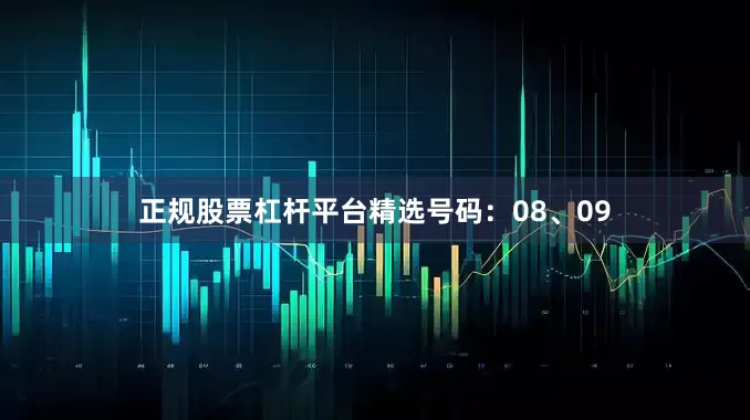 正规股票杠杆平台精选号码:08、09